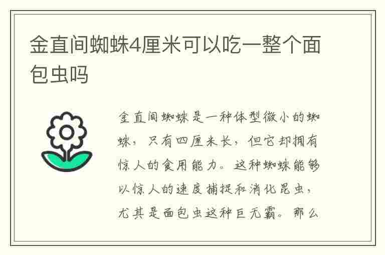 金直间蜘蛛4厘米可以吃一整个面包虫吗